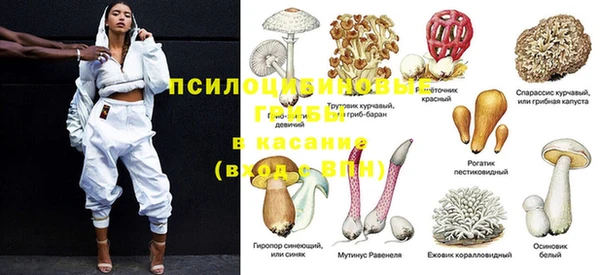 каннабис Беломорск
