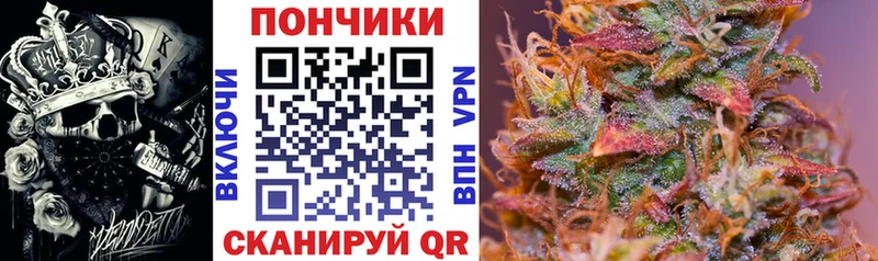 Бошки марихуана Amnesia Верещагино